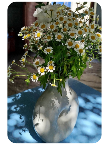 D&eacute;mystifier les peurs maternelles